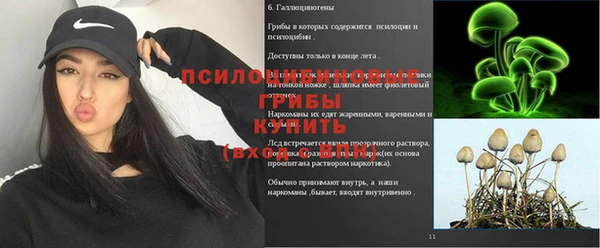 COCAINE Богородск