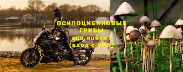 COCAINE Богородск