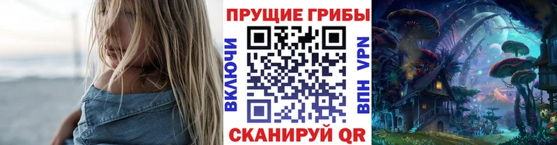 Псилоцибиновые грибы прущие грибы  Дорогобуж 