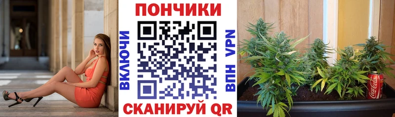 Каннабис семена  купить  сайты  Дорогобуж 
